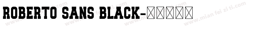 Roberto Sans Black字体转换